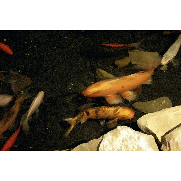 Bayou Breeze Goldfish Pond I by Alicia Ludwig Wrapped Canvas Painting